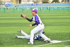 极端案例：解析“数学家卡尔达诺”作为职业赌徒的传奇人生。（从数学家到职业赌徒：卡尔达诺的传奇人生解读）